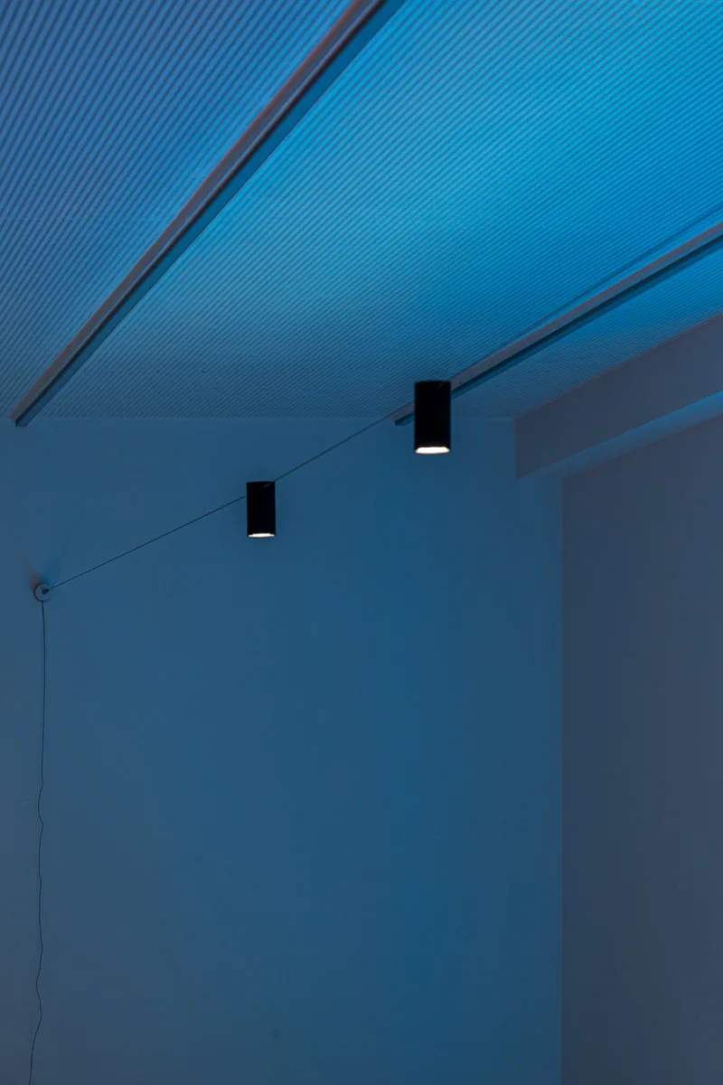 Magnifique — immagine 9